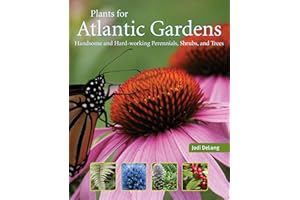 Plants for Atlantic Gardens: Handsome and Hard-working Shrubs, Trees, and Perennials