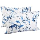 Pinzon Signature 190-Gram Cotton Heavyweight Velvet Flannel Pillowcases - Standard, Floral Smoky Blue