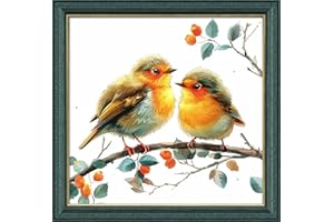 Leczany Cross Stitch Patterns Stamped Kit for Beginners | Embroidery Supplies DIY Craft Kit Starter Needlepoint for Adults or Kids | 11CT, 3 Strands | Two Little Birds 16.5x16.1 inches