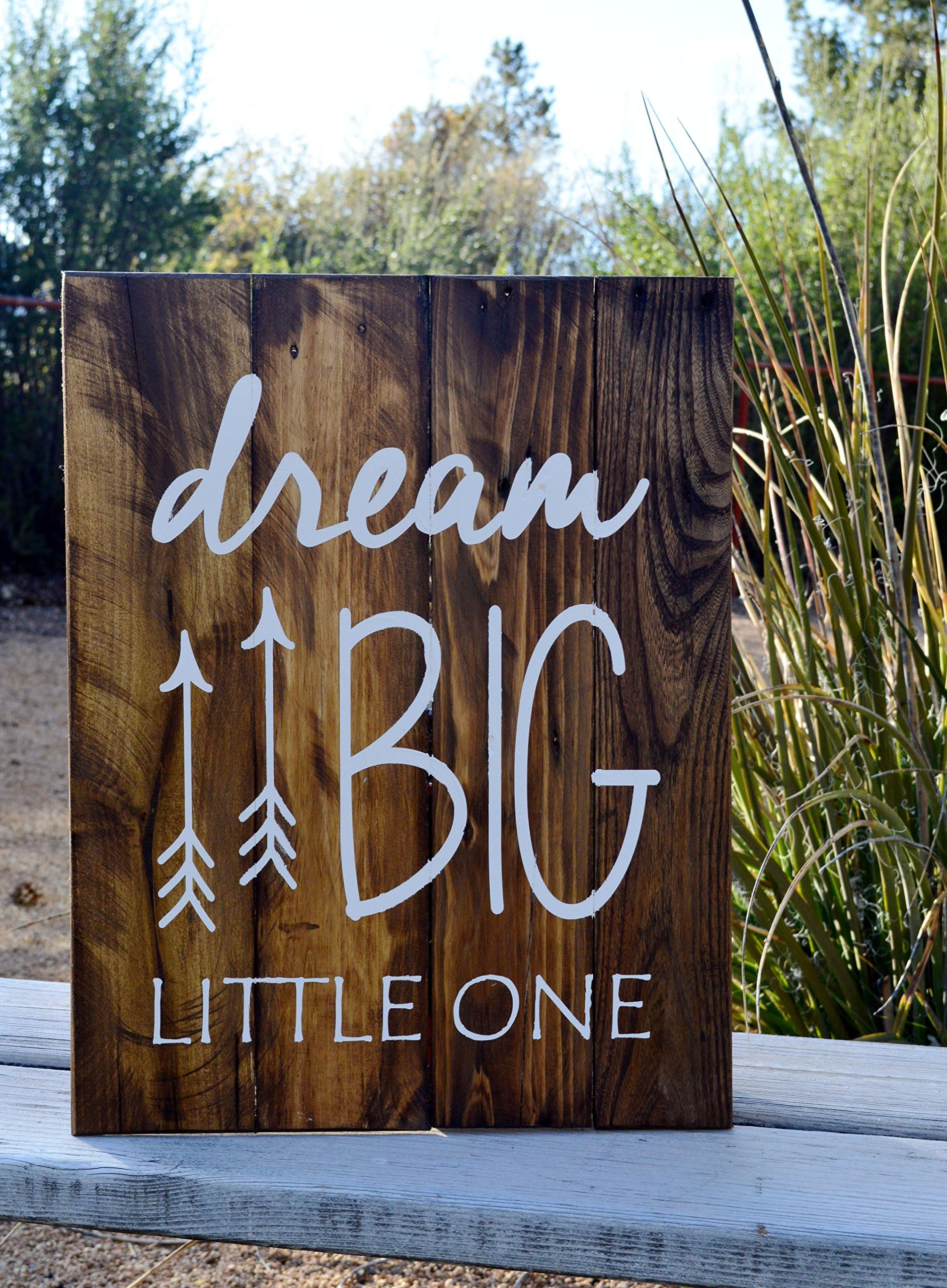 Dream Big Little One