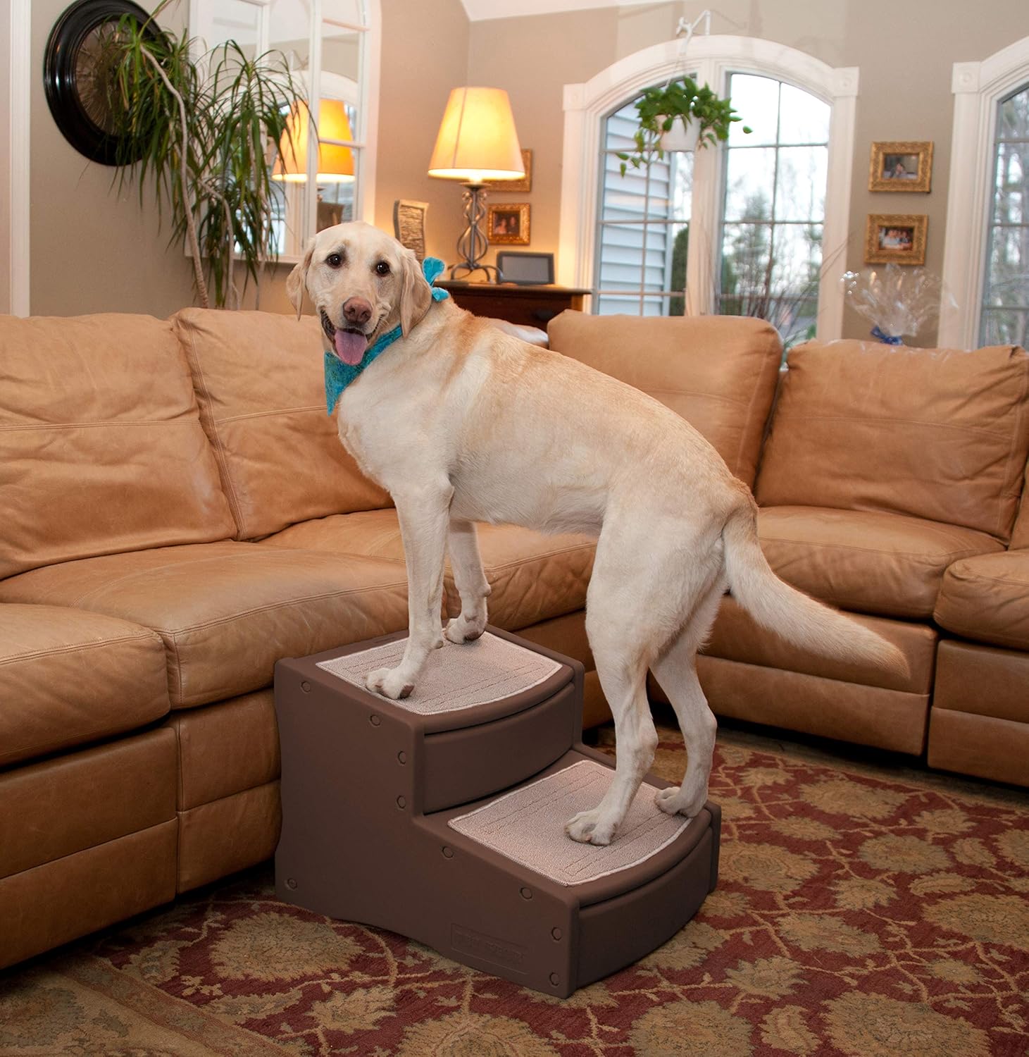 Pet Gear Easy Step II Extra Wide Pet Stairs, 2-step/for cats and dogs up to 200-pounds, Tan : Pet Supplies