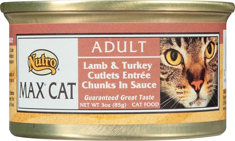 nutro turkey cat food