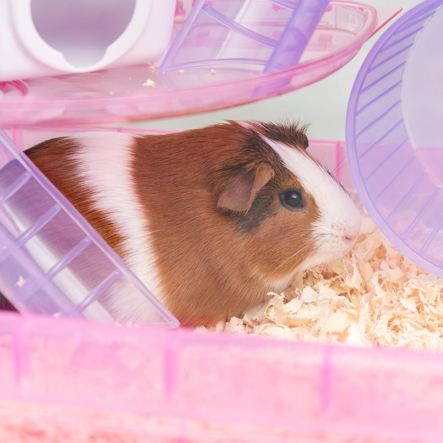 iris deluxe hamster cage