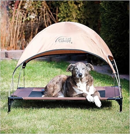 pet cot and canopy