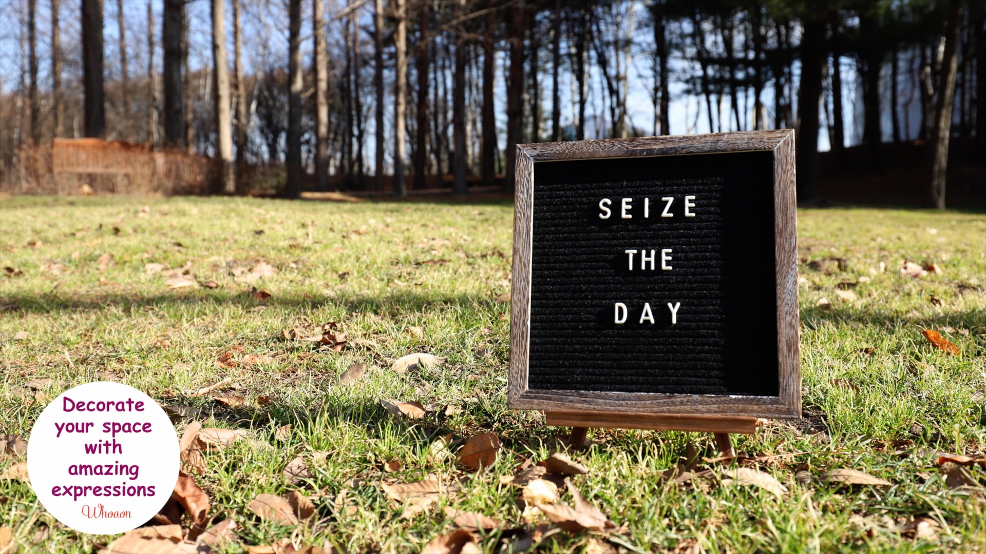 6 inches+Pre+Cut+Additional+Scissors+whoaon