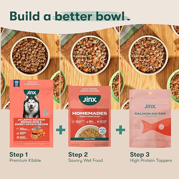 JINX PREMIUM GRAIN-FREE DRY DOG FOOD, FOR ALL LIFESTAGES – REAL SALMON, SWEET POTATO & CARROT PUPPY KIBBLE WITH SUPERFOODS FOR IMMUNE SUPPORT & PROBIOTICS FOR DIGESTIVE SUPPORT – NO FILLERS – 4LB