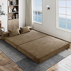 Luoxiao Folding Sofa Bed Queen with 2