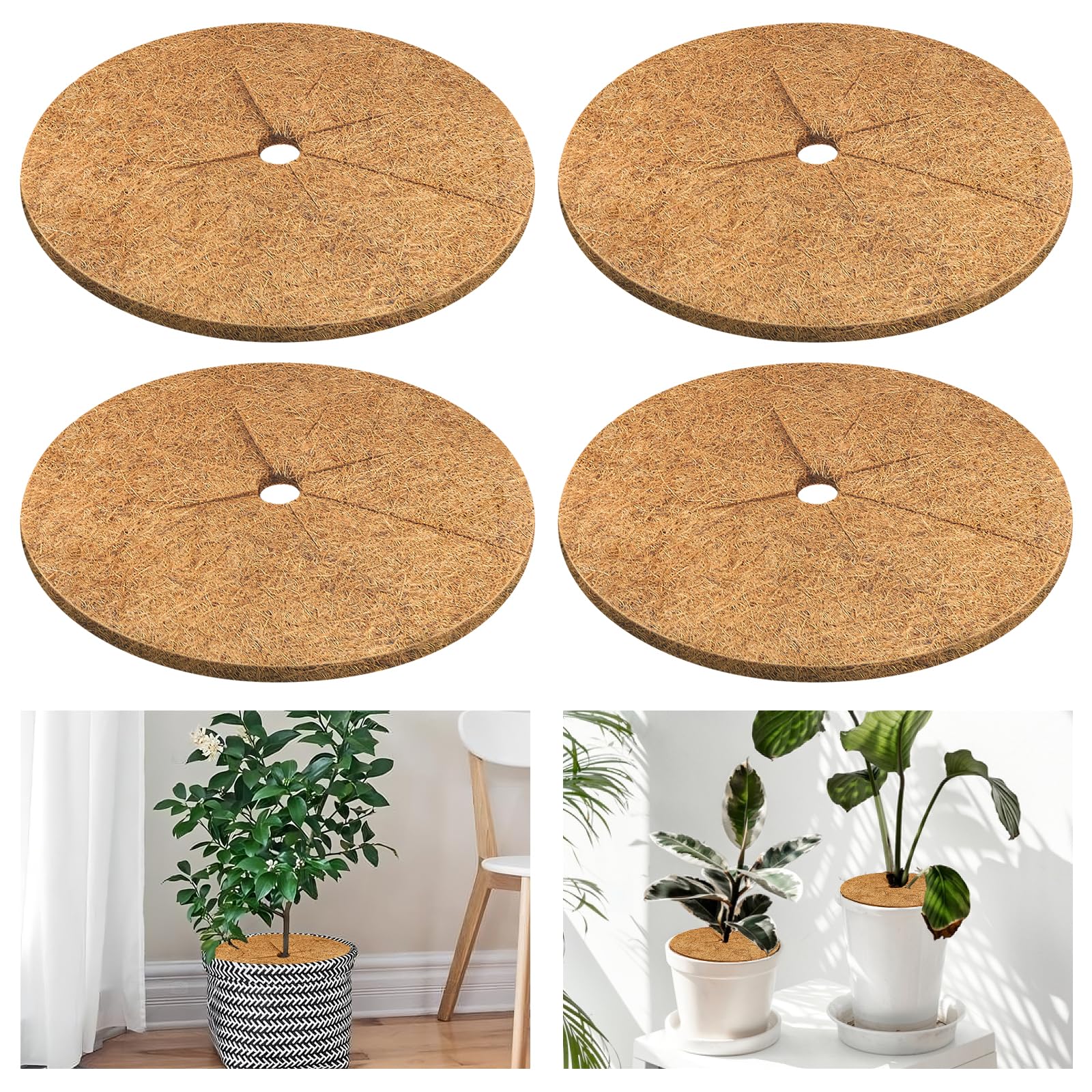 Photo 1 of **. Only 1** Legigo 4pcs Coconut Fiber Mulch Ring Tree Plant Protector Mat, 11.8 Inch Natural Coco Coir Tree Protection Ring Plant Pot Soil Cover, Tree Rings Disc Plant Cover for Indoor Outdoor Plants, Landscaping