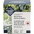 Kelp Salt - 75g of Sea Salt Flakes infused with Kelp Seaweed - Hand-Harvested on Vancouver Island - Perfect for Seasoning, Co