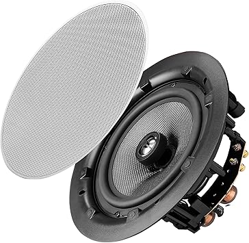 osd ceiling speakers