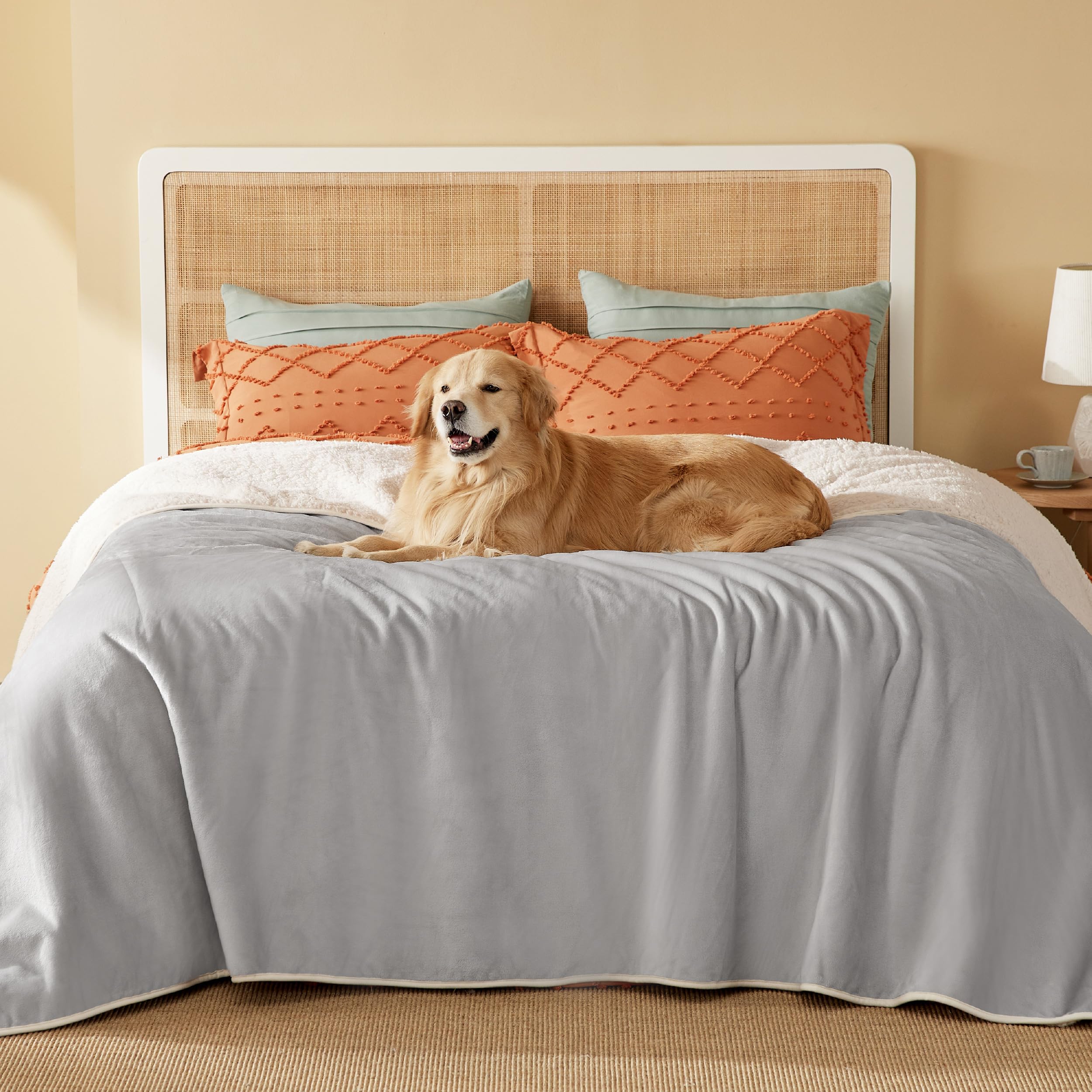 Photo 1 of Bedsure Waterproof Blanket for Bed - Sherpa Fleece Waterproof Dog Blankets for Large Dogs, Pet Blankets for Bed/Couch/Dog Crate, Soft Plush Reversible Furniture Protector, Queen, 90"x86", Light Grey
