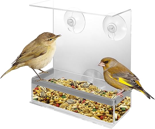 Amazon Com Kovot Acrylic Window Bird Feeder And Perch View