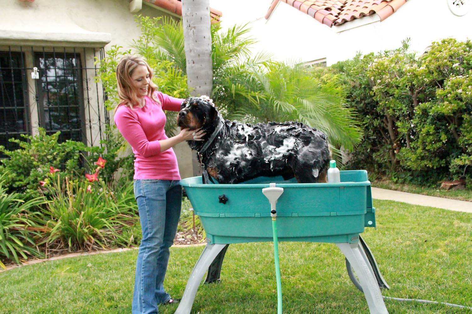 Booster Bath Elevated Pet Bathing, Teal, Large (Pack of 1) - Image 5