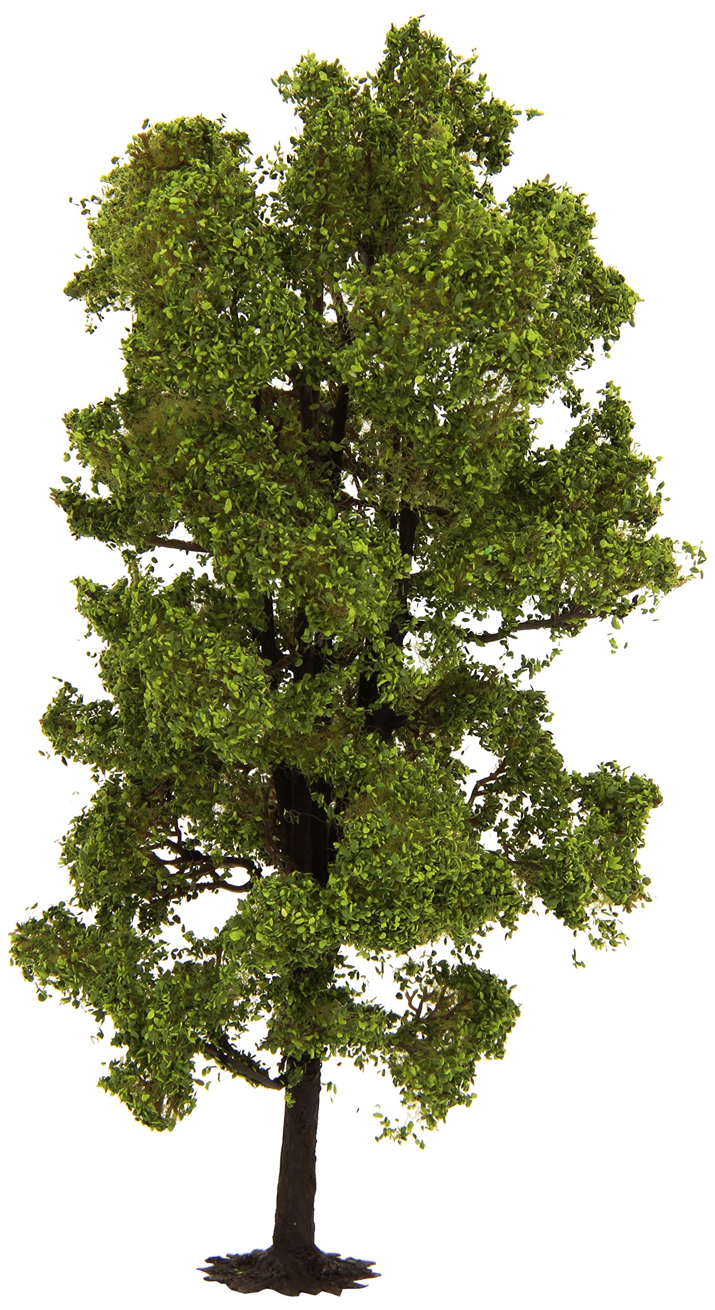 Noch 21780 Lime Tree Landscape Modelling