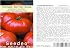 Seedeo Tomate Tschernij Prinz BIO Samen – 25 Stück, Schwarze Fleischtomate, Frostresistent