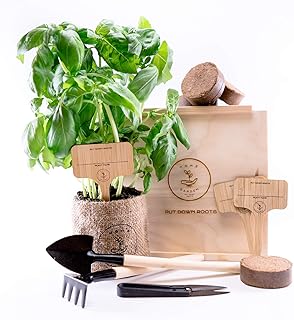 KRÄUTERGARTEN ANZUCHTSET 4 Sorten Pflanzen Samen- garten Starter-Set, öko Saatgut mit Holzkiste mit deckel, mini gewächshaus, kinderküche zubehör, Kinder Anzuchtset von PUT DOWN ROOTS