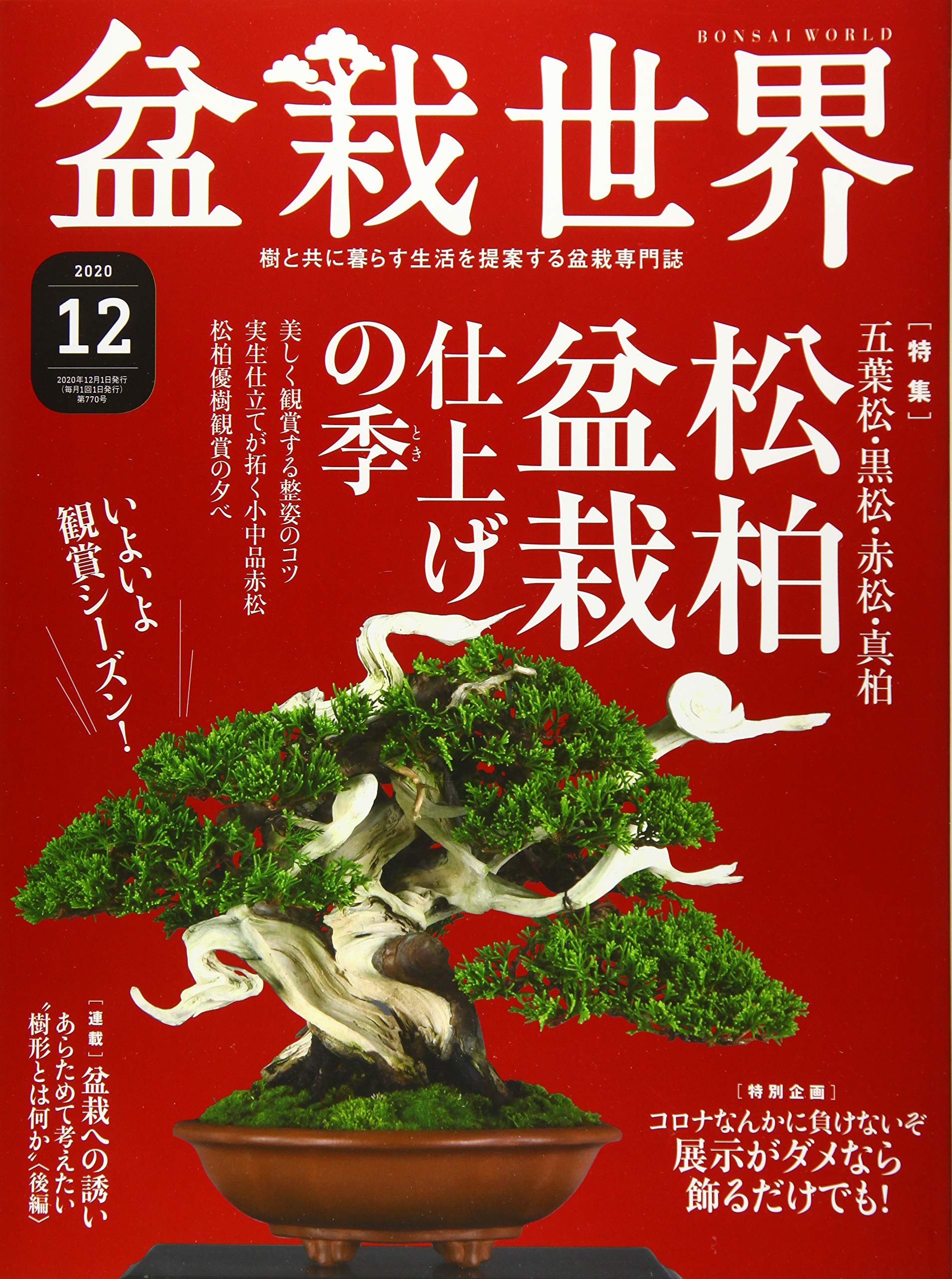 盆栽世界 年 12 月号 雑誌 本 通販 Amazon 盆栽世界 年 12 月号 雑誌 本 通販 Amazon