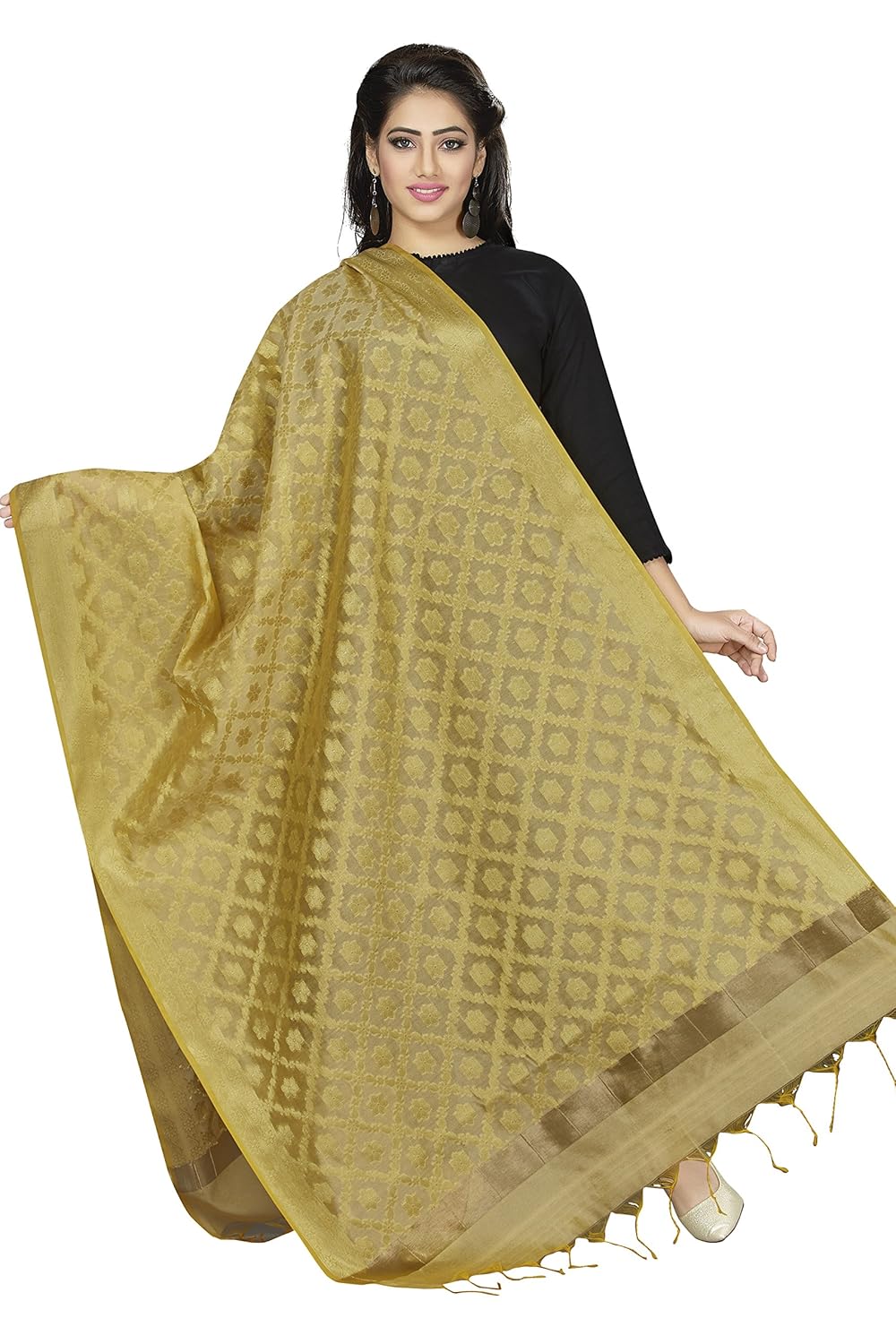 rani saahiba women's art cotton silk dupatta