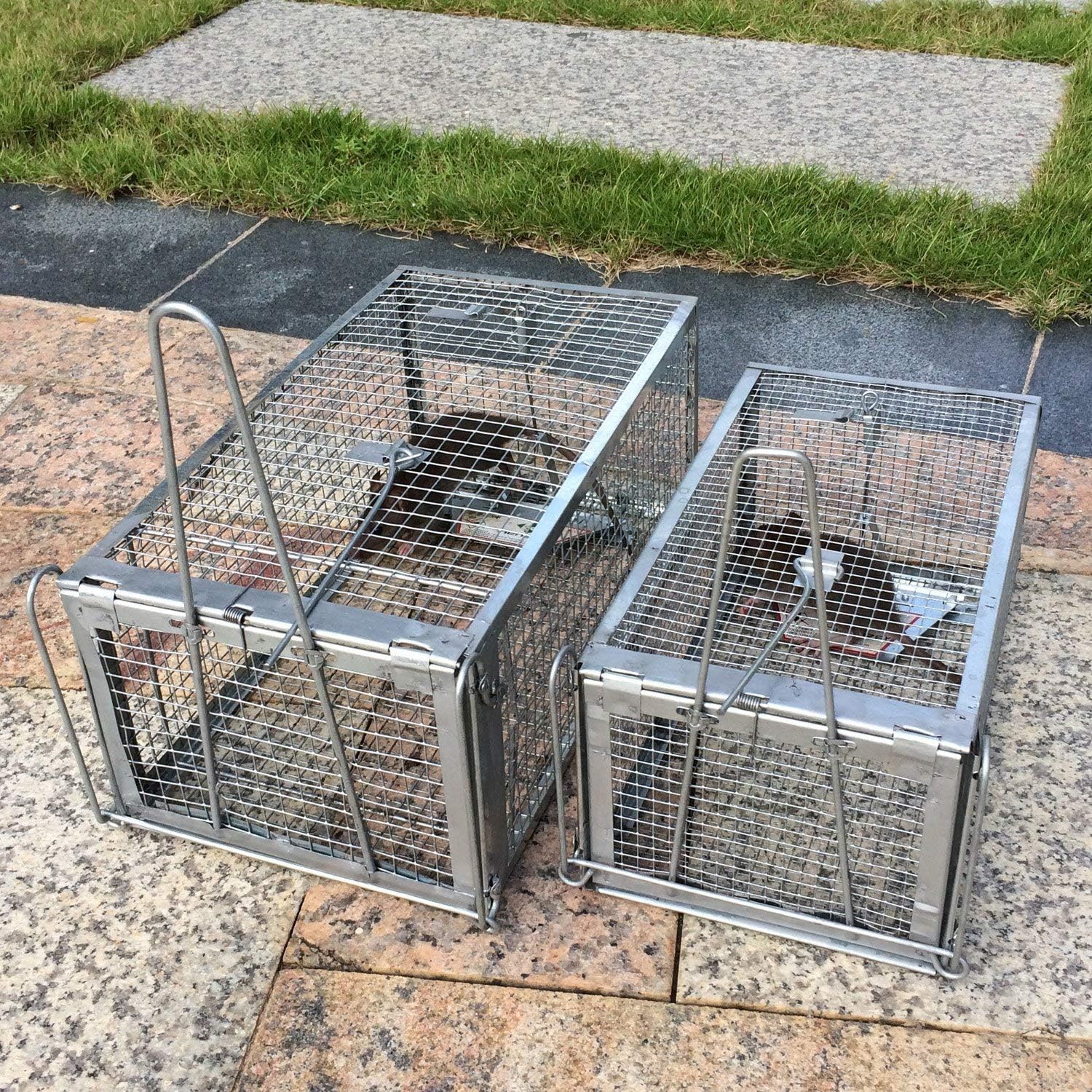 Kensizer Small Animal Humane Live Cage Rat Mouse Chipmunk Rodent Voles Hamsters Trap That Work for Indoor and Outdoor, Trampa para Ratones, Catch and Release : Garden & Outdoor