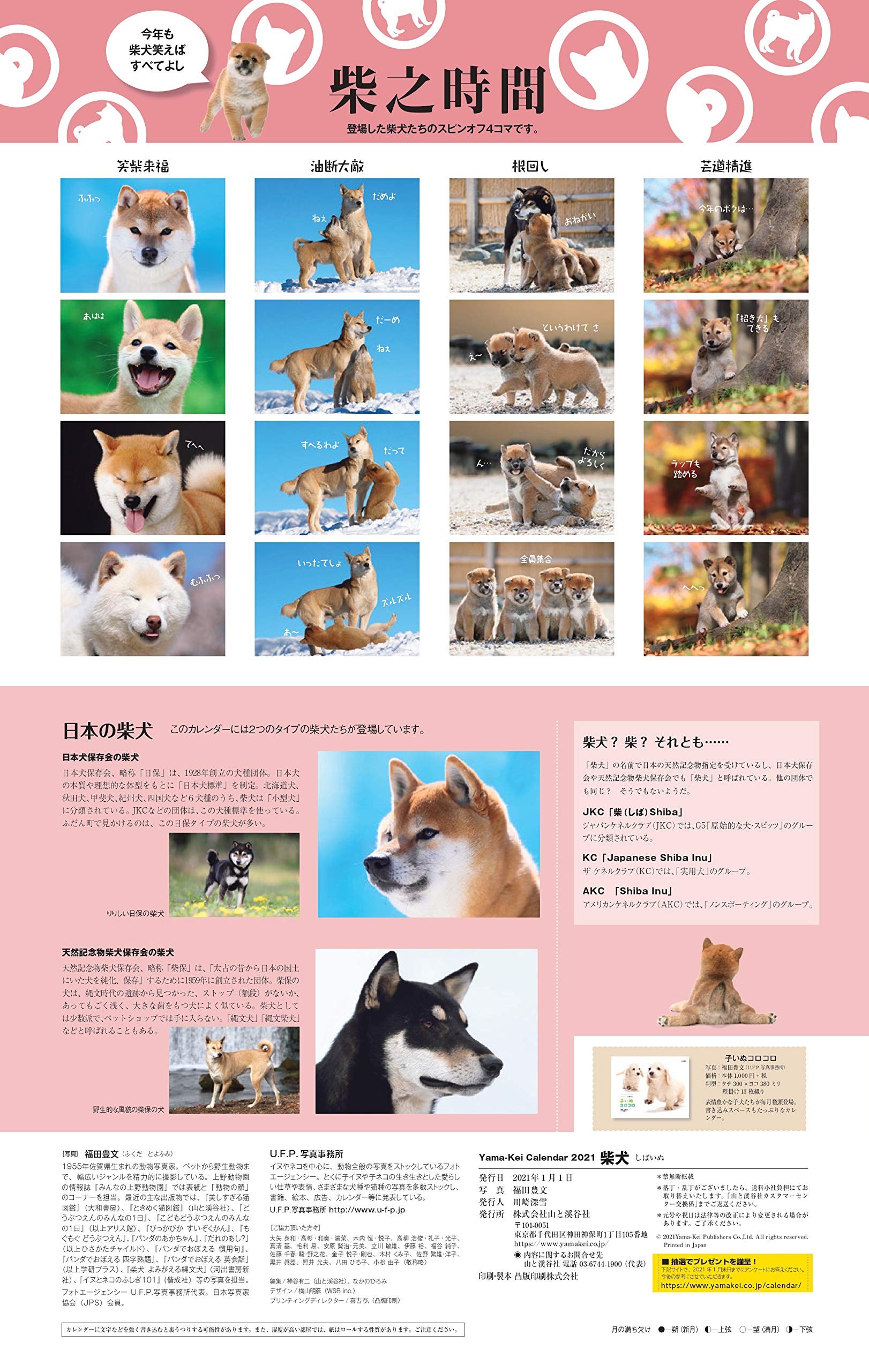 カレンダー21 柴犬 月めくり 壁掛け ヤマケイカレンダー21 福田 豊文 本 通販 Amazon