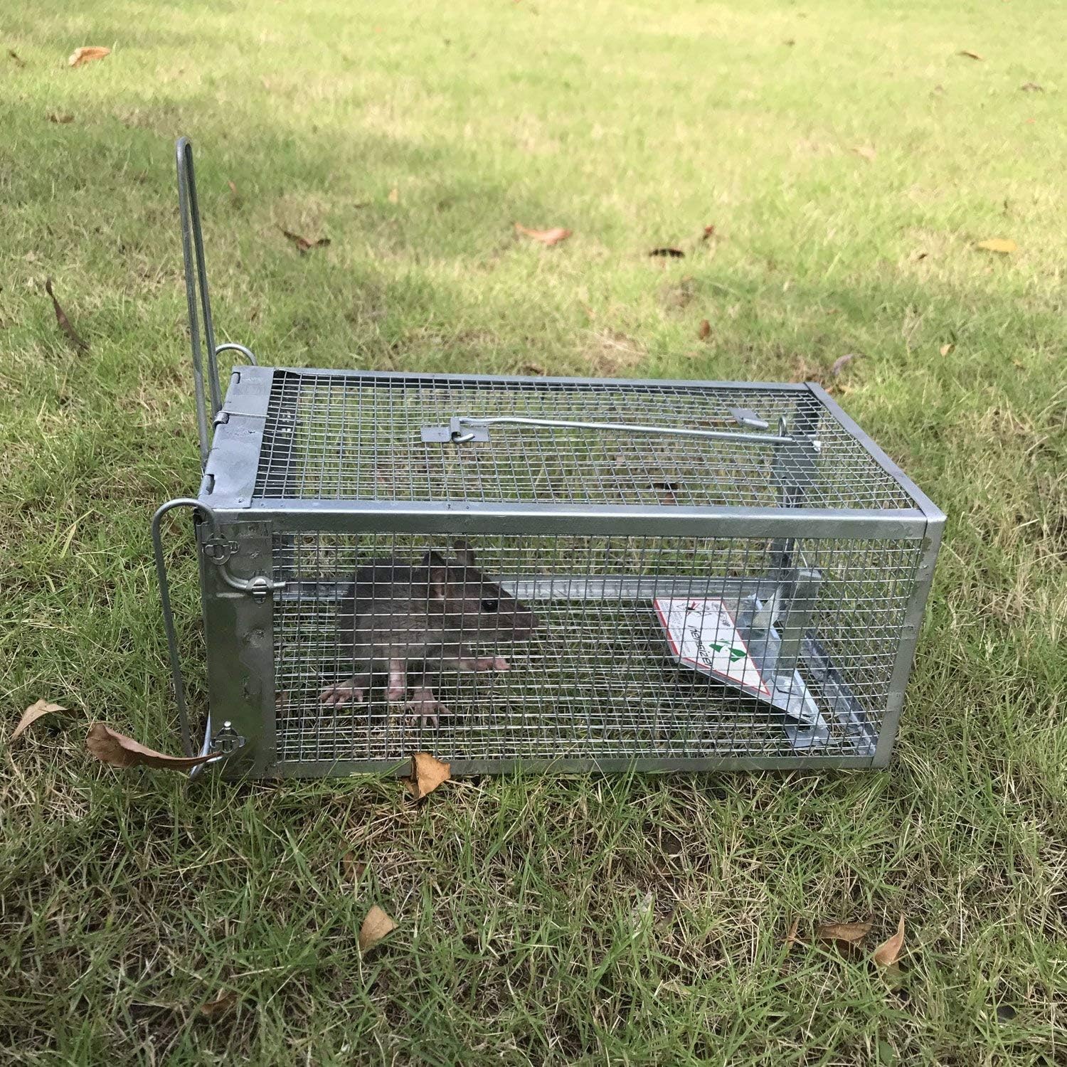 Kensizer Small Animal Humane Live Cage Rat Mouse Chipmunk Rodent Voles Hamsters Trap That Work for Indoor and Outdoor, Trampa para Ratones, Catch and Release : Garden & Outdoor