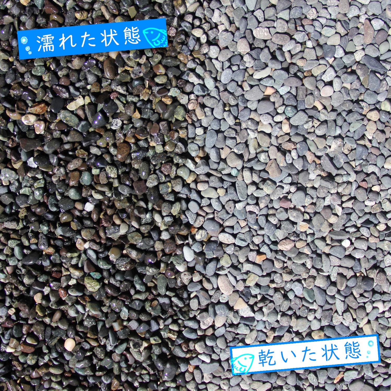 Mua 水槽用底砂 大磯砂利 2分 洗って入れるだけでぴったり 30cm水槽で3センチ 45cm水槽で2センチにぴったり敷ける お魚の色を鮮やかに演出する天然カラー Ooisoja 2分 Tren Amazon Nhật Chinh Hang Fado