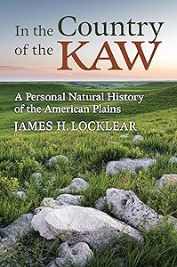 kindle best category lists