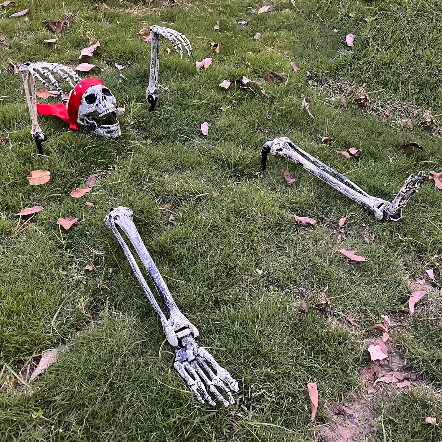 Decorative Garden Stakes - BKDMZZMY Halloween Skeleton Stakes, 5 PCS Realistic Halloween Skeleton with Red Scarf, Spooky Life Size Skeleton Groundbreakes for Lawn Yard Graveyard Halloween Decorations Outdoor