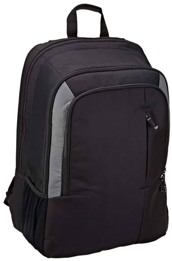 AmazonBasics Laptop Backpack Fits Up To 15Inch Laptops Amazon.ca