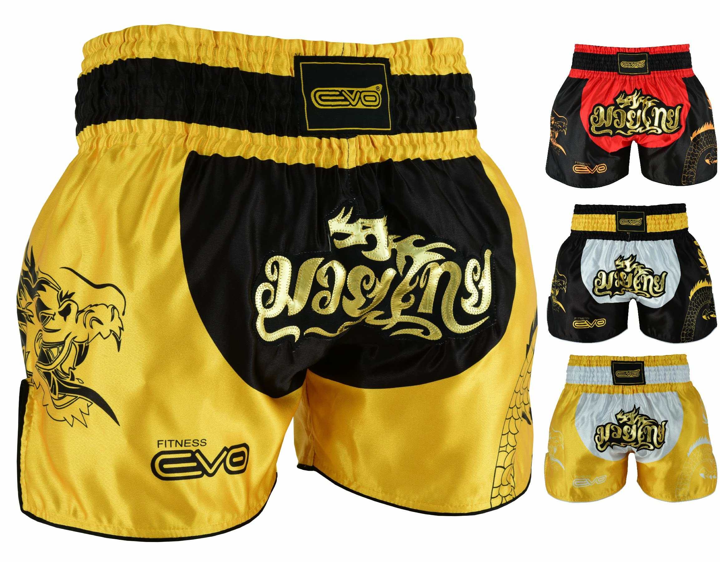 EVO Fitness Muay Thai Shorts MMA Martial Arts Grappling Kick Boxing Cage Fighting Gym Training Men Women Clothing Gear (X-Large, Black/Golden)