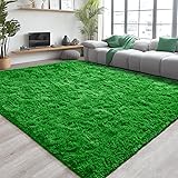 Chicrug Soft Area Rug for Bedroom Living Room Plush