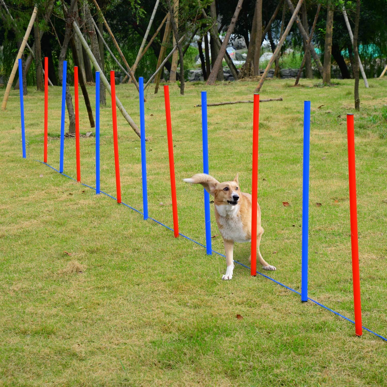 PawHut Pet Agility Training Equipment Dog Play Run Jump Obedience Training Set Adjustable (Poles), Blue and Red - Image 4