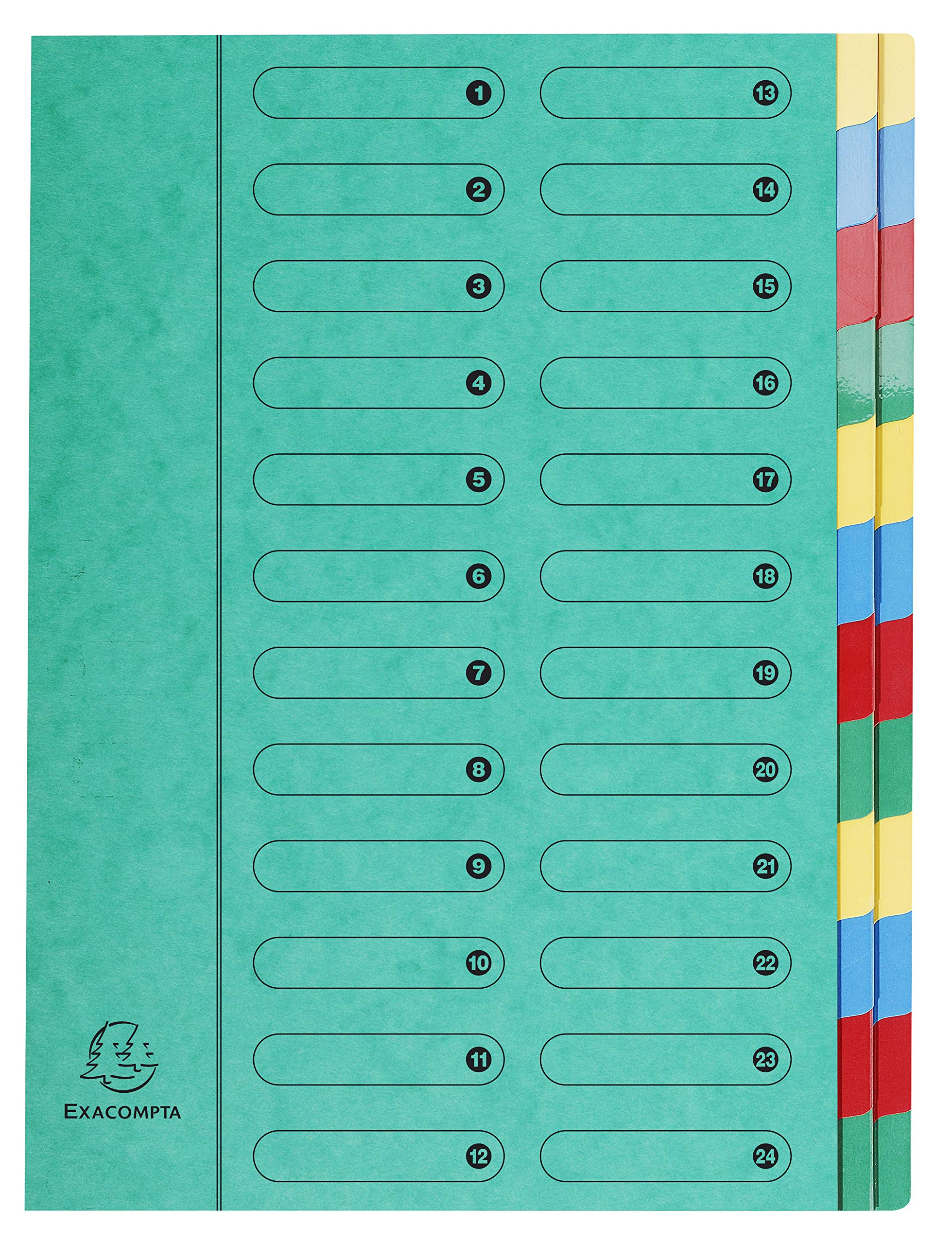 Exacompta - Ref 5124E - Harmonika Multipart File - 24.5 x 32cm in Size, Suitable for A4 Documents, 24 Multi-Coloured Tabbed Sections, Premium Pressboard Cover - Green Cover