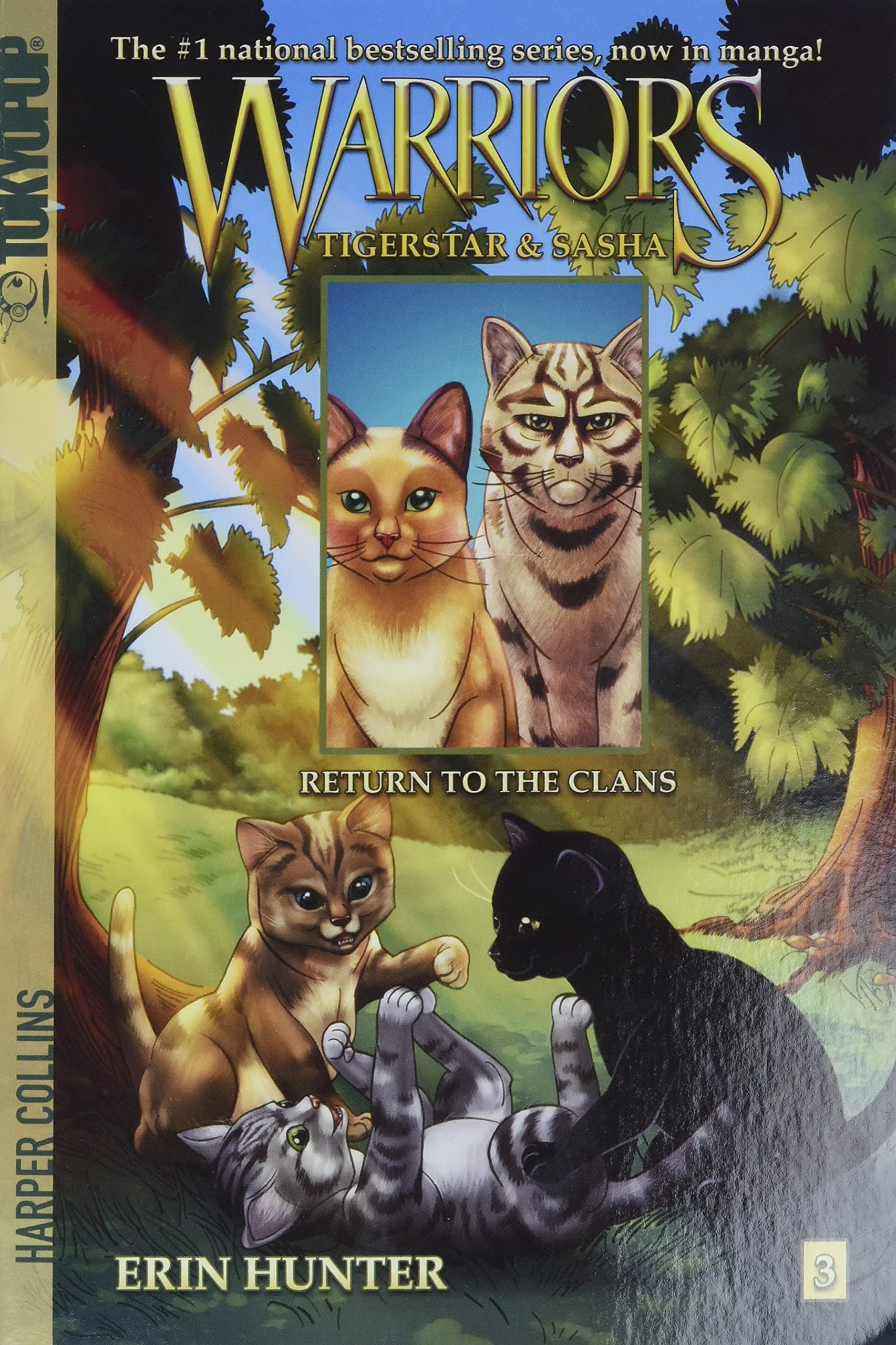 Warriors Manga Tigerstar And Sasha 3 Return To The Clans Erin Hunter Dan Jolley Don Hudson Amazon Com Books