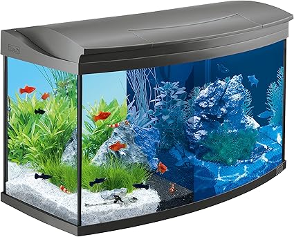 Tetra Poissons Eau Douce Tropicale Aquaart Evolution Line 100 L