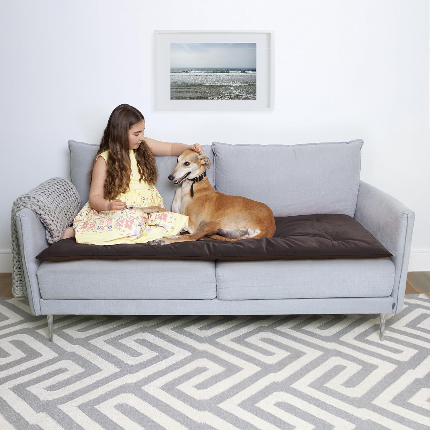 The Lounging Hound Premium Luxury Sofa Protector/Topper ...