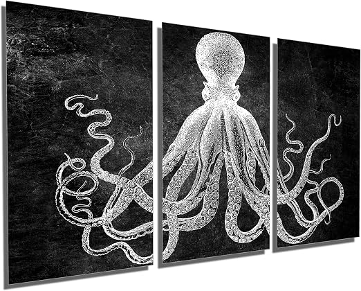 Amazon Com Canvas Quest 36 X 18 Total Lord Bodner Octopus Triptych Metal Print Wall Art Black White 3 Panel Split Kraken Hd Aluminum Posters Prints