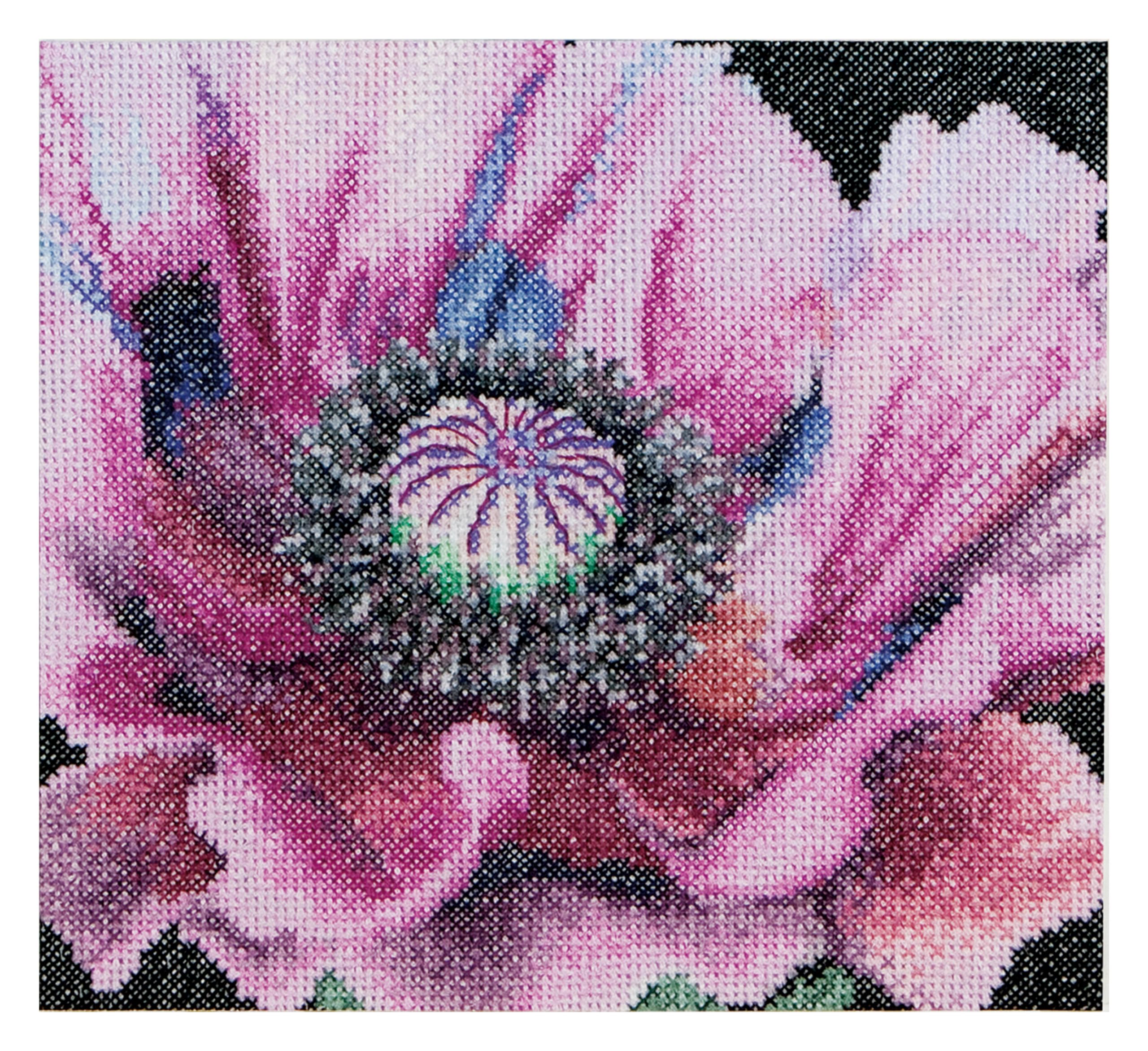 Thea Gouverneur - Counted Cross Stitch Kit - Poppy - Aida - 18 Count - Embroidery Kit for Adults - DMC Embroidery Threads and Other Cross Stitch Supplies Included - 491A