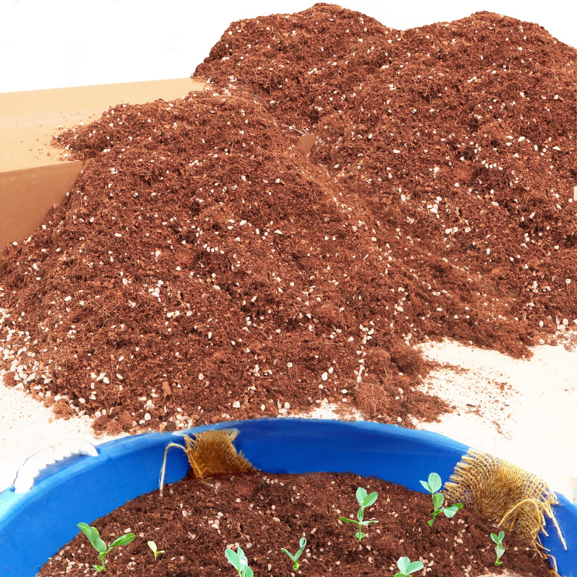 Photo 1 of 29QT Potting Soil Mix for Indoor Plants - Contains Perlite, Peat Moss, Coco Coir & Rice Charcoal, Natural & Organic Material with Well-Draining, Light & Aerated Texture for Healthy Roots & Fast Growth