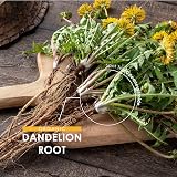 ALPHA01 Organic Dandelion Root 1400mg 120 Vegan Capsules High Strength view 4