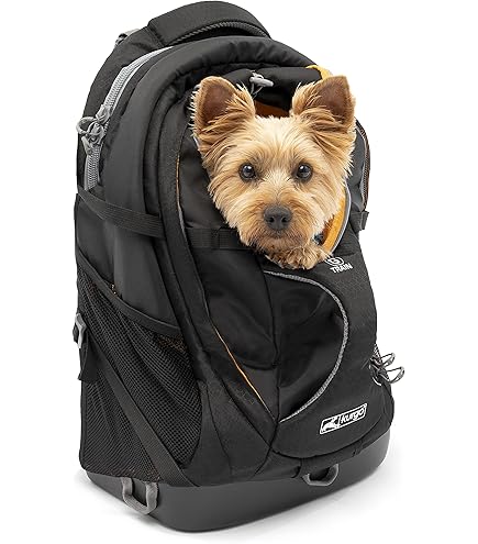 Kurgo Dog Carrier Backpack for Small Dogs & Cats | G-Train Pet