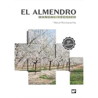 Amazon.es Los más vendidos: Los productos más populares en ...
