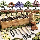 Planter's Choice Bonsai Tree Starter Kit - Unique Gifts for Women, Men - Christmas Gifts for Adults - Indoor Live House Plant
