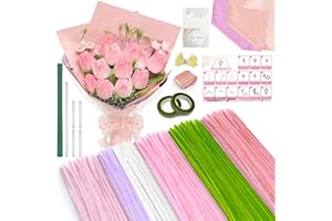 LINAYE 500 PCS Pipe Cleaners Craft, 6 Colors Pipe Cleaners Flowers Kit, Chenille Stems for Crafts with Instruction Wrapping P