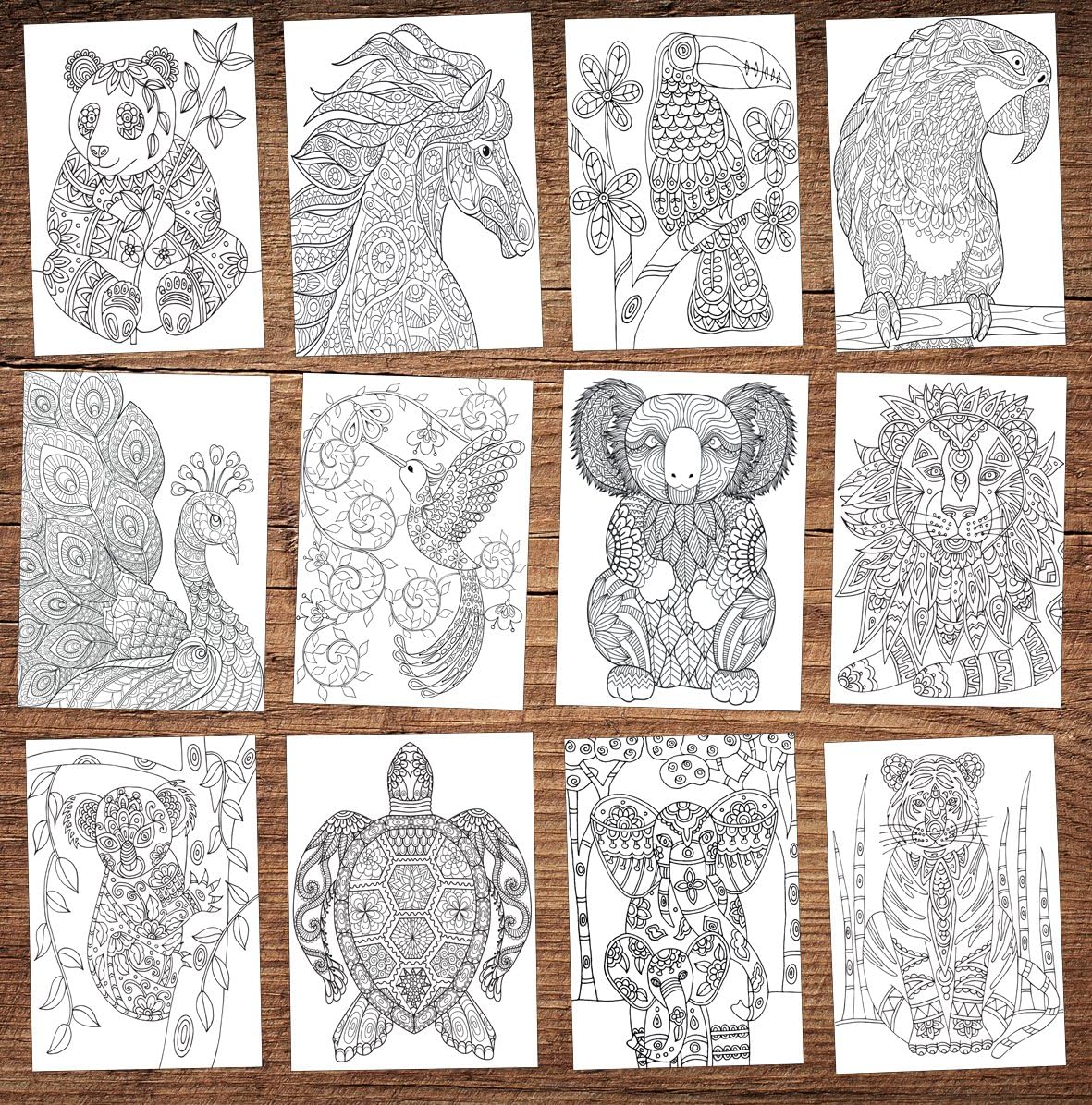 24 Adult or Children's Animal Wildlife Blank Colouring Greeting/Birthdays Cards