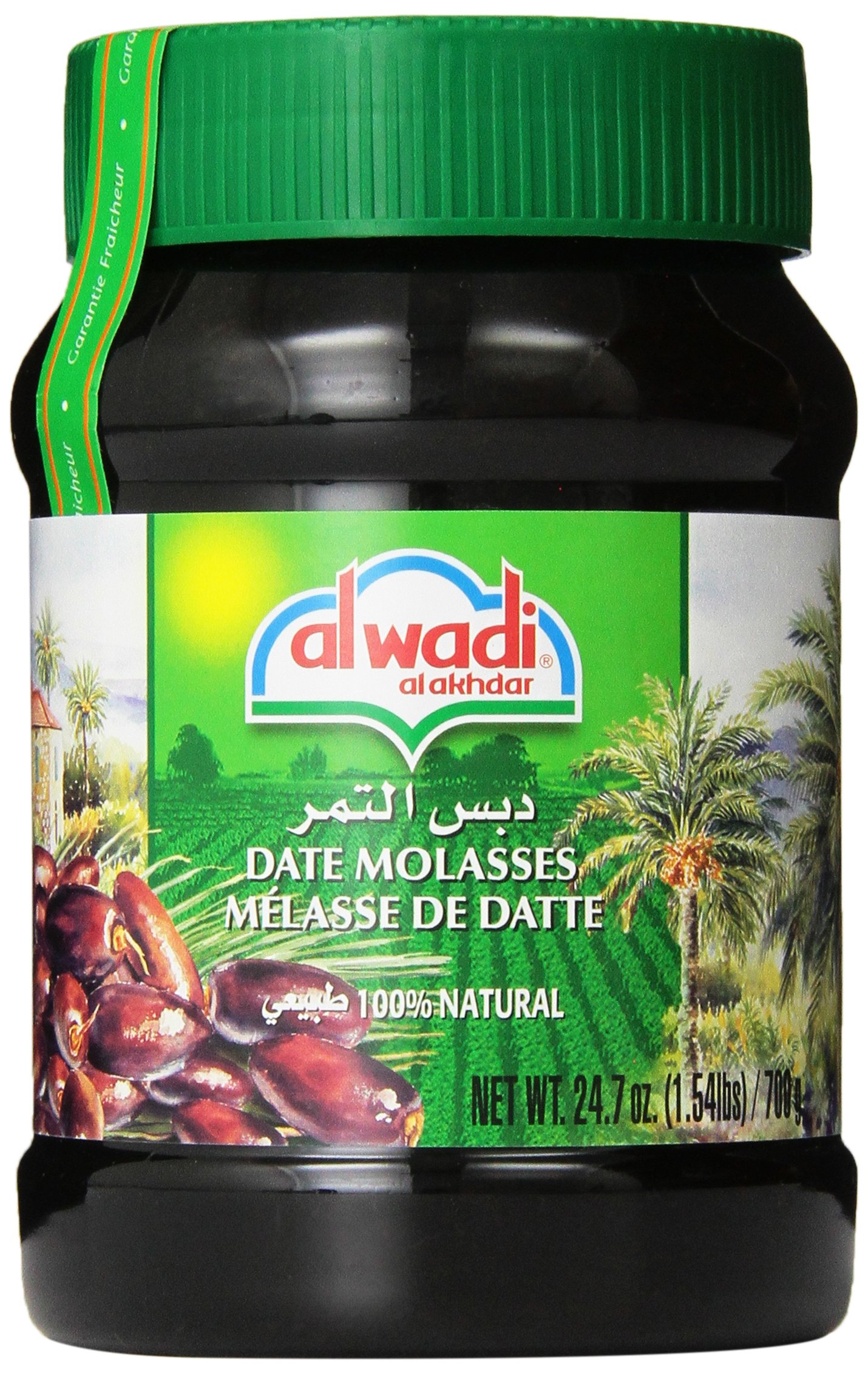 Alwadi Al Akhdar Date Molasses, 24.7Ounce plastic jar (Pack of 3) Buy