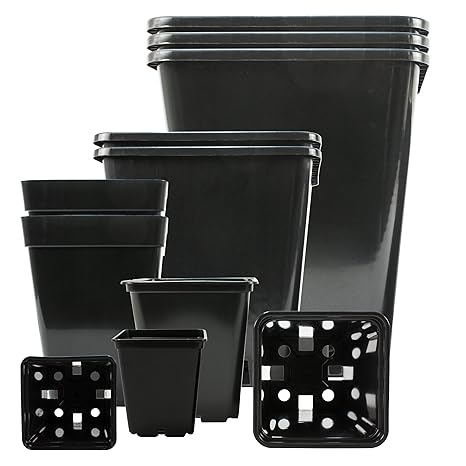 10-stk Profi-Pflanztopf viereckig 25x25x26-cm 11-Liter • Hochwertiger PP Kunststoff • Perfekt für Indoor & Outdoor z.B Winter