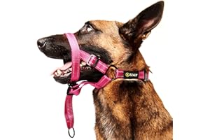 Zevey Dog Headcollar with Safety Strap Stops Heavy Pulling On The Leash Padded Reflective Head Halter for Small Medium Large Dogs Adjustable Head Harness for Training and Walking (Pink, L)