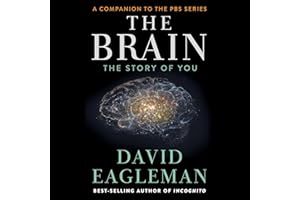 The Brain: The Story of You