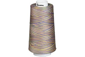Signature Cotton Quilting Thread, 3000 yd, Variegated Summery Fun